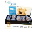 10 in1 brain game set - IW8554