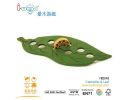 Caterpillar & Leaf - IW2043