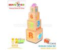 Animals Cubes Set  - YT3416